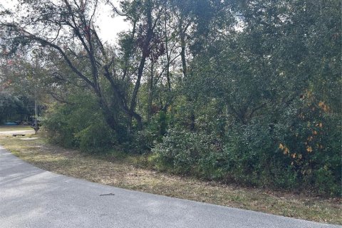 Land in Spring Hill, Florida № 1555854 - photo 1