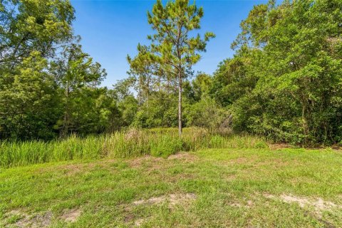 Land in Dade City, Florida № 2212243