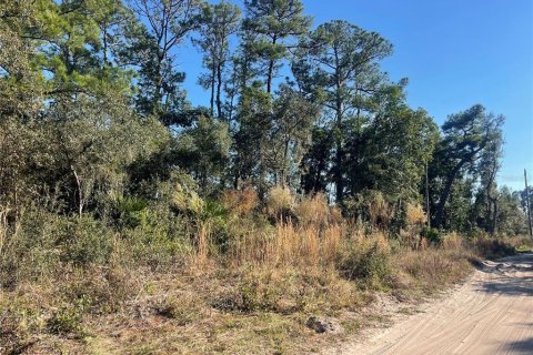 Land in DeLand, Florida № 2165382