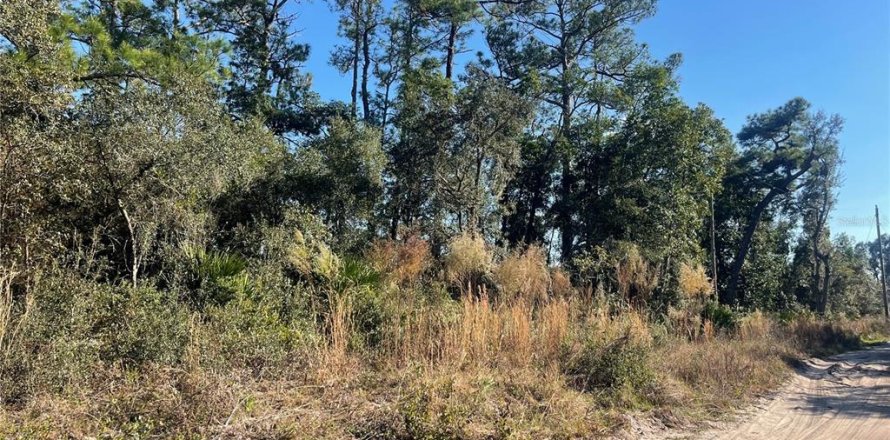 Land in DeLand, Florida № 2165382