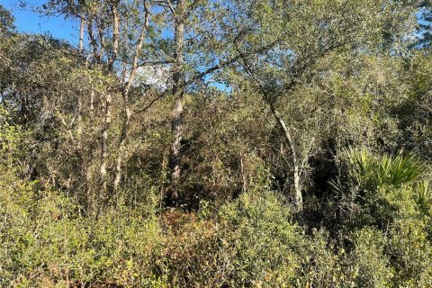 Land in DeLand, Florida № 2165382 - photo 3