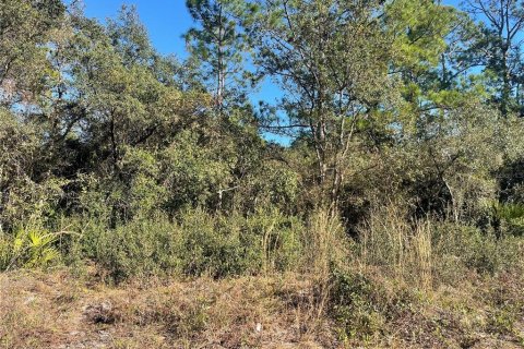 Land in DeLand, Florida № 2165382 - photo 2