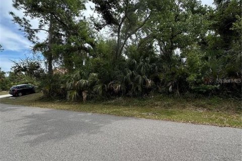 Land in North Port, Florida № 2166174 - photo 3