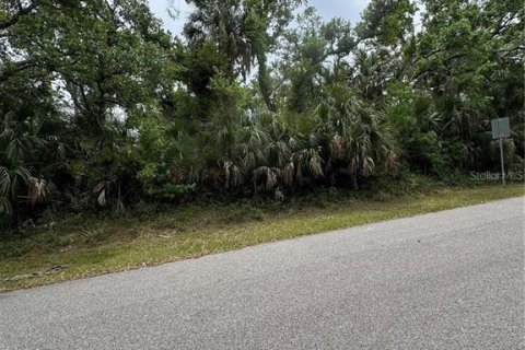 Land in North Port, Florida № 2166174 - photo 2