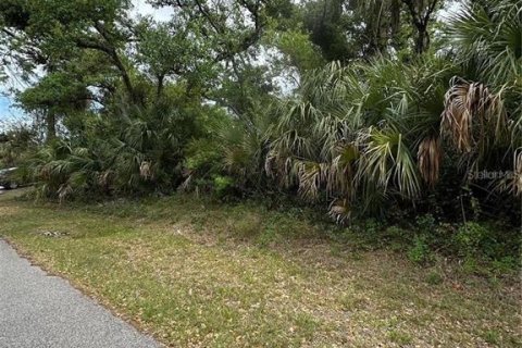 Land in North Port, Florida № 2166174