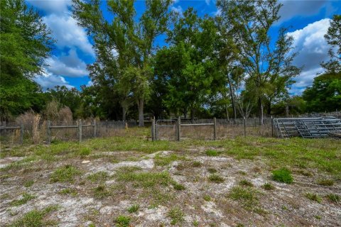 Apartment in Old Town, Florida 3 bedrooms, 112.97 sq.m. № 2211113 - photo 21