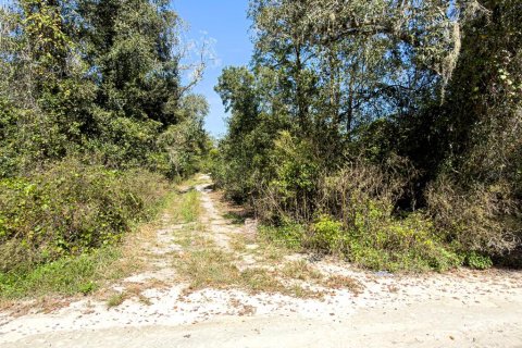 Terrain à vendre à Dade City, Floride № 2259408 - photo 6