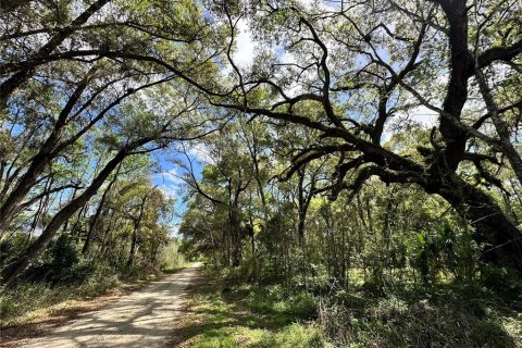 Land in Ocala, Florida № 2228874 - photo 2