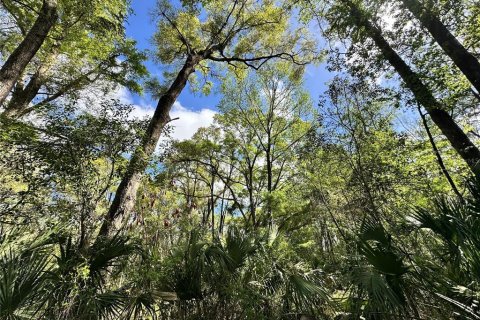 Land in Ocala, Florida № 2228874 - photo 10