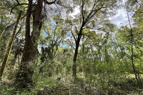 Land in Ocala, Florida № 2228874 - photo 15