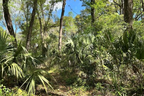 Land in Ocala, Florida № 2228874 - photo 7