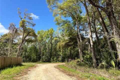 Land in Ocala, Florida № 2228874 - photo 5