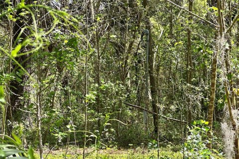 Land in Ocala, Florida № 2228874 - photo 6