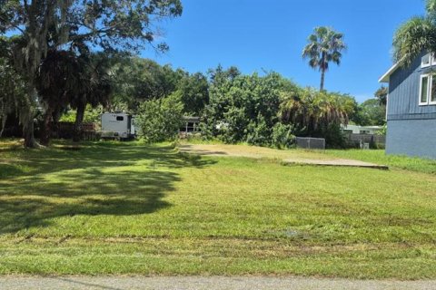 Land in New Port Richey, Florida № 2369534