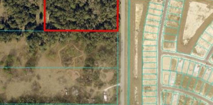 Land in Ocala, Florida № 1724382