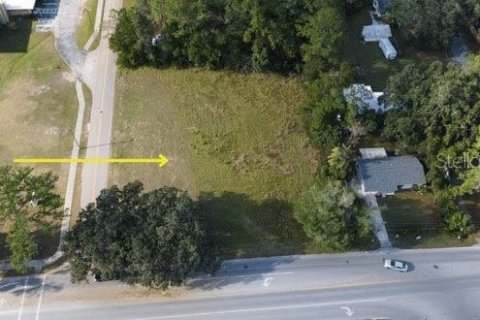 Terreno en venta en Belleview, Florida № 1242785 - foto 1