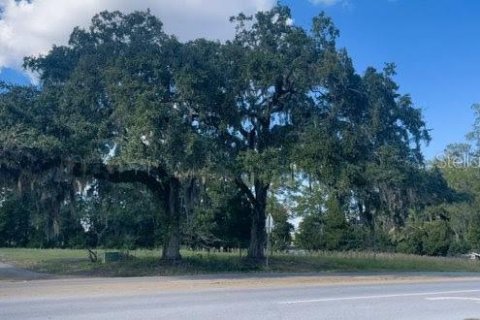 Terreno en venta en Belleview, Florida № 1242785 - foto 2