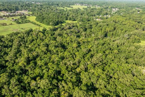 Casa en venta en Ocala, Florida, 5 dormitorios, 308.44 m2 № 1827271 - foto 3
