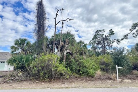 Land in North Port, Florida № 2161610 - photo 2
