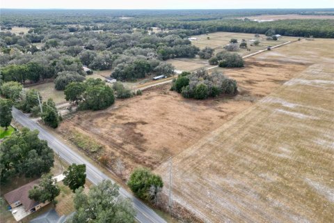 Land in Dunnellon, Florida № 2214671 - photo 4