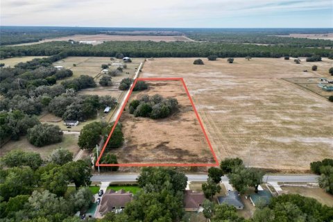 Land in Dunnellon, Florida № 2214671 - photo 12