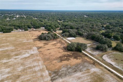 Land in Dunnellon, Florida № 2214671 - photo 5