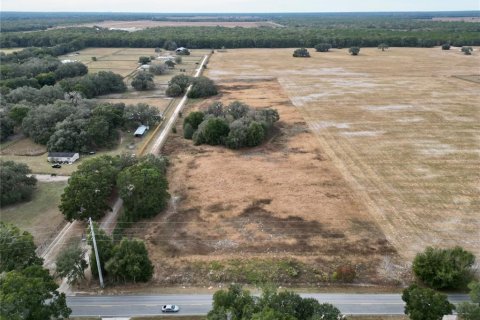Land in Dunnellon, Florida № 2214671 - photo 3