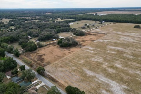 Land in Dunnellon, Florida № 2214671 - photo 13