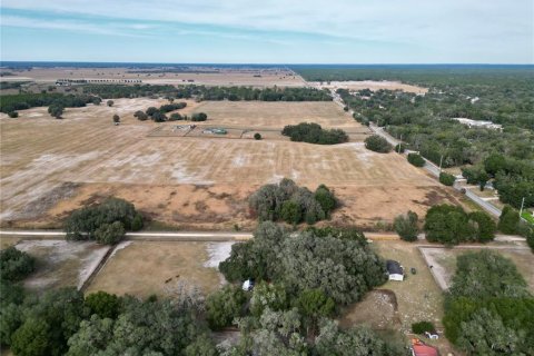 Land in Dunnellon, Florida № 2214671 - photo 10