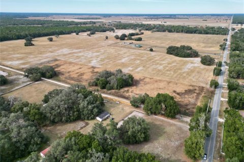 Land in Dunnellon, Florida № 2214671 - photo 9