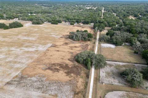Land in Dunnellon, Florida № 2214671 - photo 7
