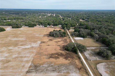 Land in Dunnellon, Florida № 2214671 - photo 6