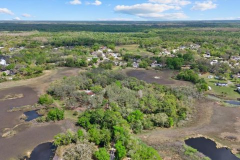 Land in New Port Richey, Florida № 2166130 - photo 12