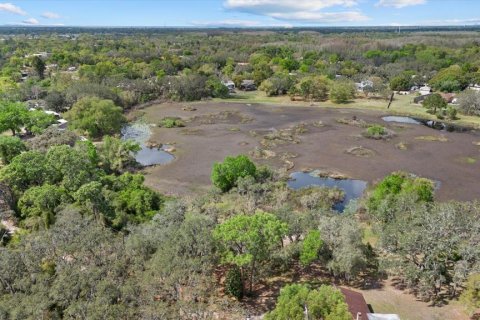 Land in New Port Richey, Florida № 2166130 - photo 19