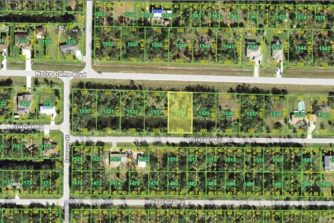 Land in Punta Gorda, Florida № 2164612 - photo 4