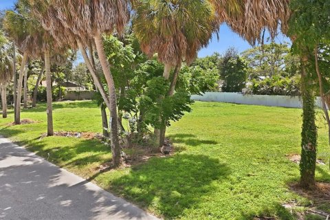 Land in Sarasota, Florida № 2379351 - photo 5