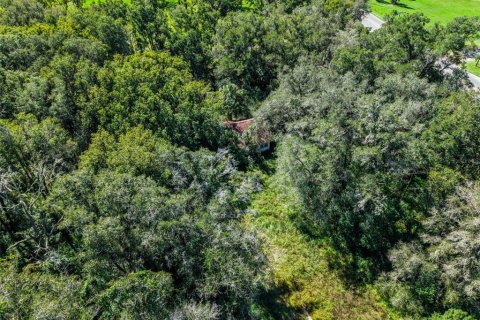 Land in Eustis, Florida № 2431117 - photo 10