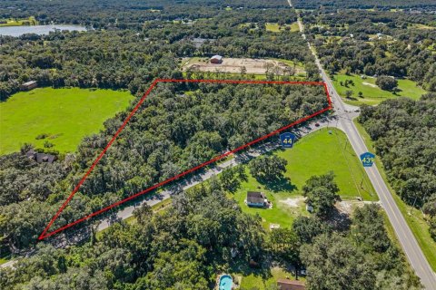 Land in Eustis, Florida № 2431117 - photo 2