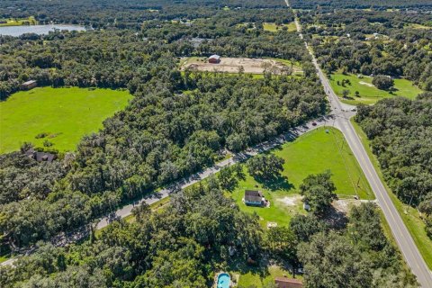 Land in Eustis, Florida № 2431117 - photo 13