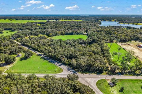 Land in Eustis, Florida № 2431117 - photo 11