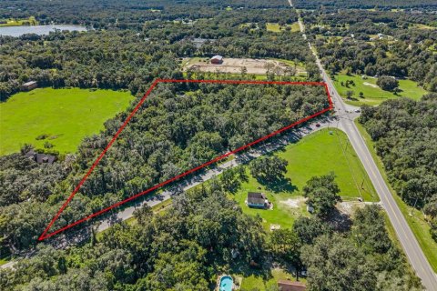 Land in Eustis, Florida № 2431117 - photo 20