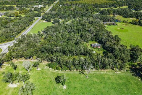 Land in Eustis, Florida № 2431117 - photo 18