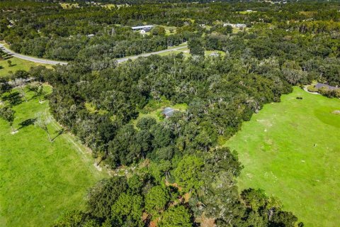 Land in Eustis, Florida № 2431117 - photo 16