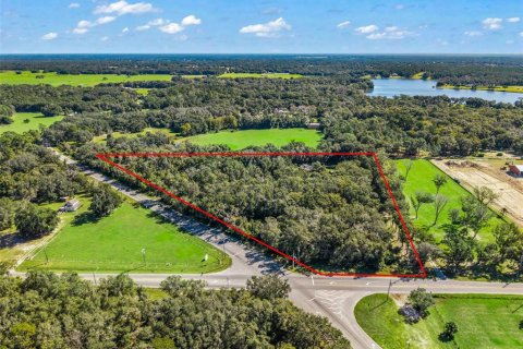 Land in Eustis, Florida № 2431117 - photo 19