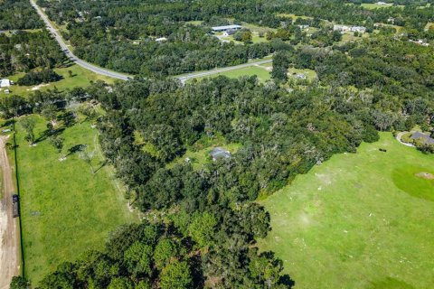 Land in Eustis, Florida № 2431117 - photo 12
