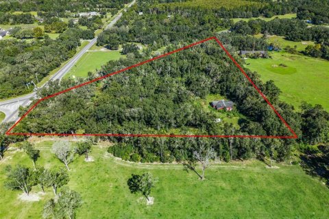 Land in Eustis, Florida № 2431117 - photo 8