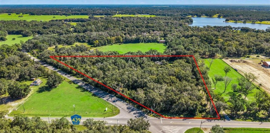 Land in Eustis, Florida № 2431117