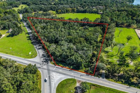 Land in Eustis, Florida № 2431117 - photo 4