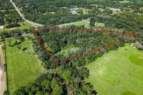 Land in Eustis, Florida № 2431117 - photo 3