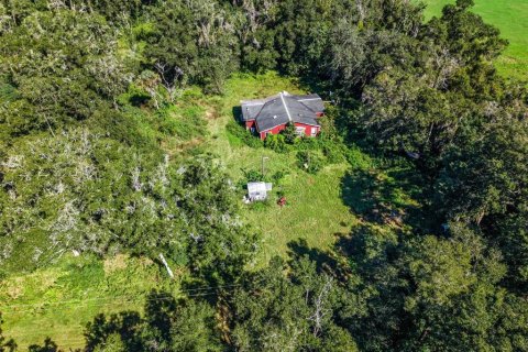 Land in Eustis, Florida № 2431117 - photo 9